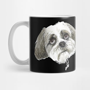 Boche Mug